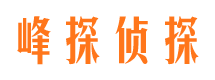 中站市侦探调查公司